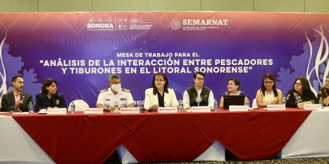 Realiza&nbsp;Sagarhpa&nbsp;mesa de trabajo sobre interacción entre pescadores y tiburones