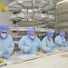 Registra Sonora 14 mil empleos nuevos en 2024