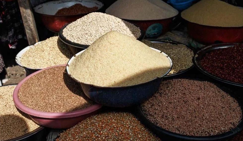 Importó México 6% más granos en 2023