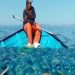 Denuncian pescadores incumplimiento de tregua para la temporada de aguamala