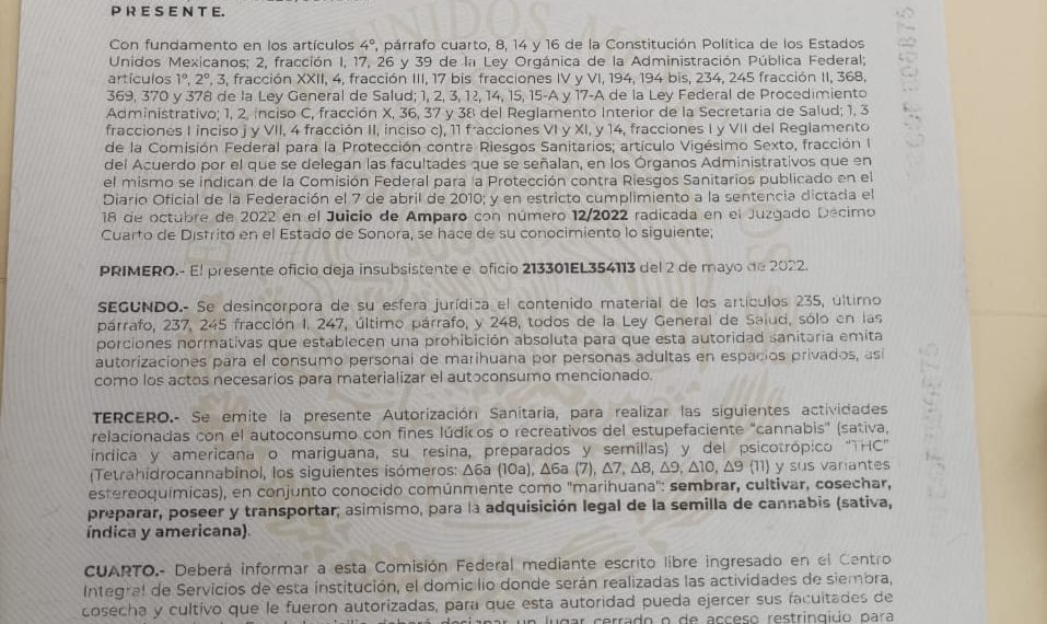 Hermosillense ganó amparo para fumar marihuana