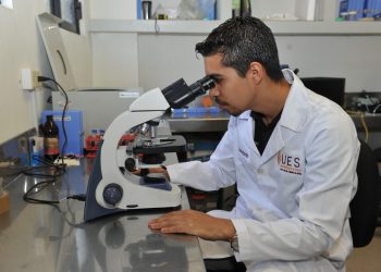 Tiene la UES posgrados con la industria y los sectores productivos de la región