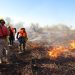 Personal de SEDENA y la Brigada Estatal de Manejo de Fuego, controlan y liquidan incendio forestal en Quiriego