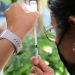 Vacunación infantil es vital para el desarrollo de niños y niñas: Isssteson