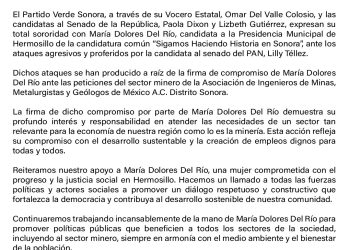 El Partido Verde Sonora se solidariza con María Dolores Del Río ante ataques verbales