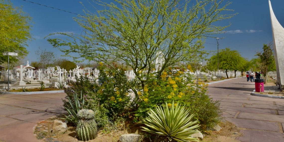 Con creación de Jardín Polinizador abren puertas laterales del Panteón Yáñez