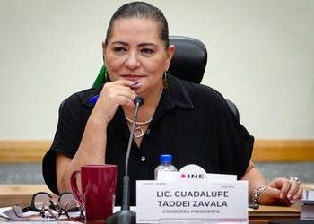 Pide Taddei a organizaciones no usar color rosa del INE