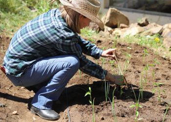 Participan estudiantes del Creson en taller sobre agricultura orgánica para crear huertos escolares