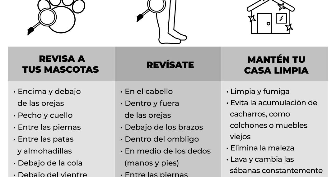 Insta Salud Sonora a prevenir la rickettsia manteniendo los hogares limpios