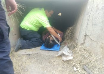 Localizada adulta mayor extraviada en Magdalena de Kino