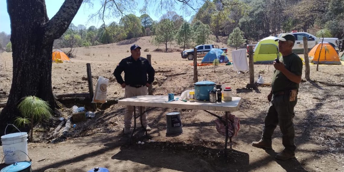 Liquidan brigadistas incendio forestal en Yécora