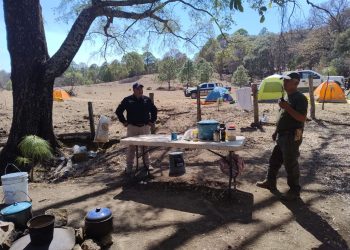 Liquidan brigadistas incendio forestal en Yécora