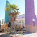 Gobierno de Sonora y grupos ambientalistas trabajan de manera coordinada en la rehabilitación del parque La Sauceda