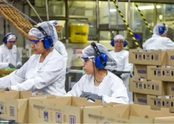 Se perdieron 25 mil empleos en mayo