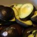 Estados Unidos suspende importación de aguacate michoacano por incidente de seguridad