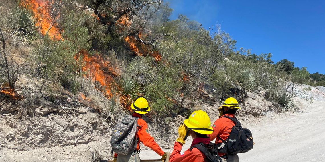 Liquidan incendios forestales en Ímuris