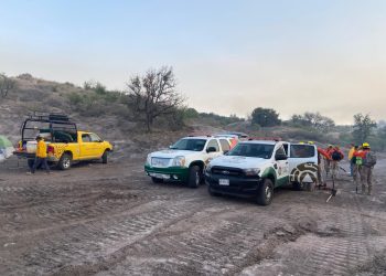 Atienden incendio forestal cerca de frontera con Arizona