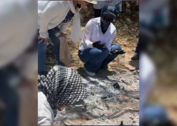 Madres buscadoras hallan restos humanos calcinados en San Miguel de Horcasitas