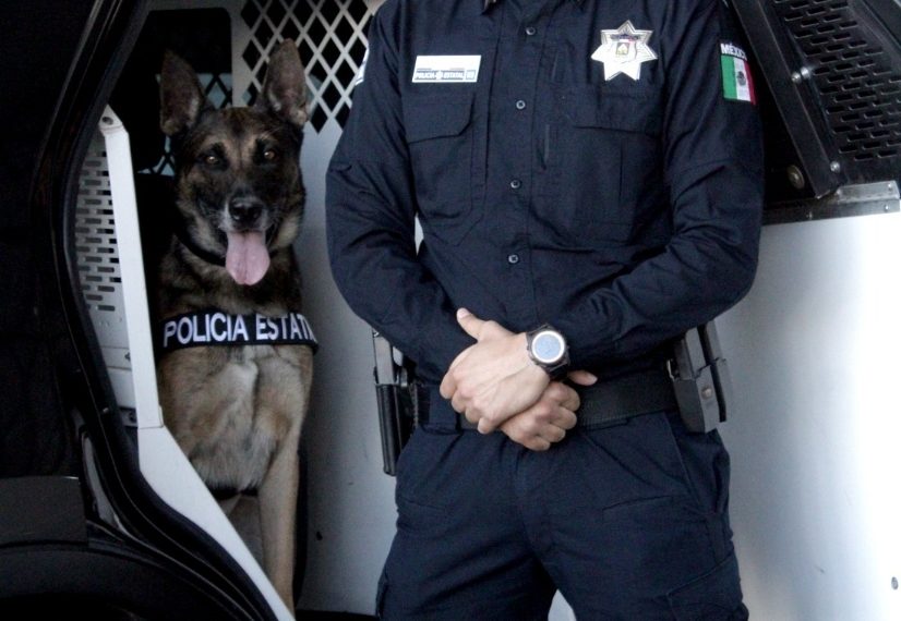Contribuye Unidad K9 de Policía Estatal en acciones de prevención del delito en Sonora