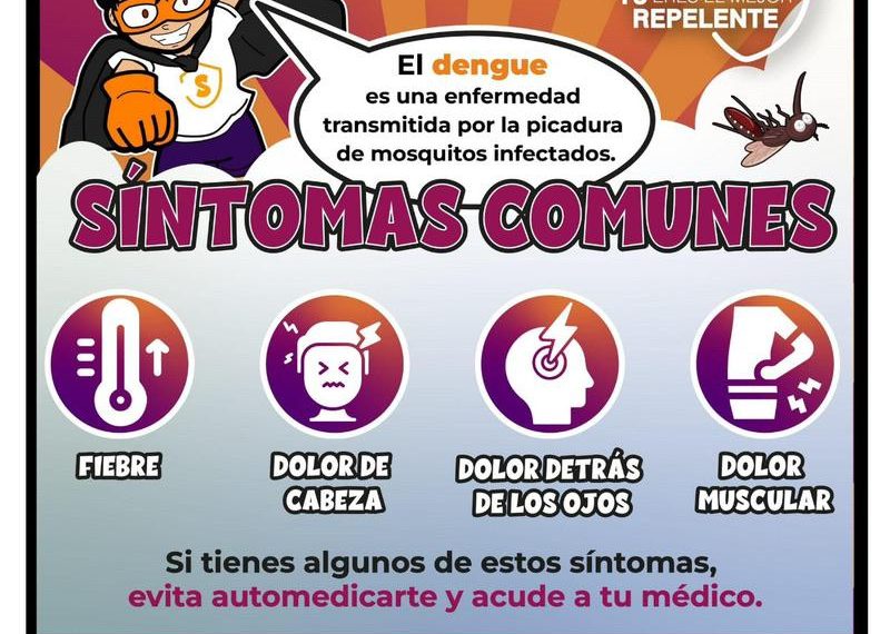 Llama Salud Sonora a eliminar criaderos de mosquitos antes de la temporada de lluvias