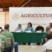Trabaja Gobierno de Sonora en reconversión de cultivo y apoyos para productores de Sonora