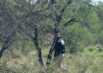 Localizan sin vida a mujer de la tercera edad extraviada en la carretera Hermosillo-Sahuaripa