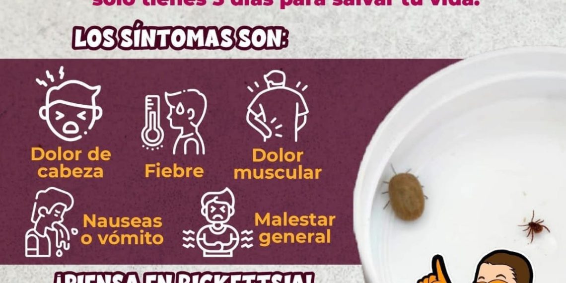 Salud Sonora trabaja todo el año contra la rickettsiosis