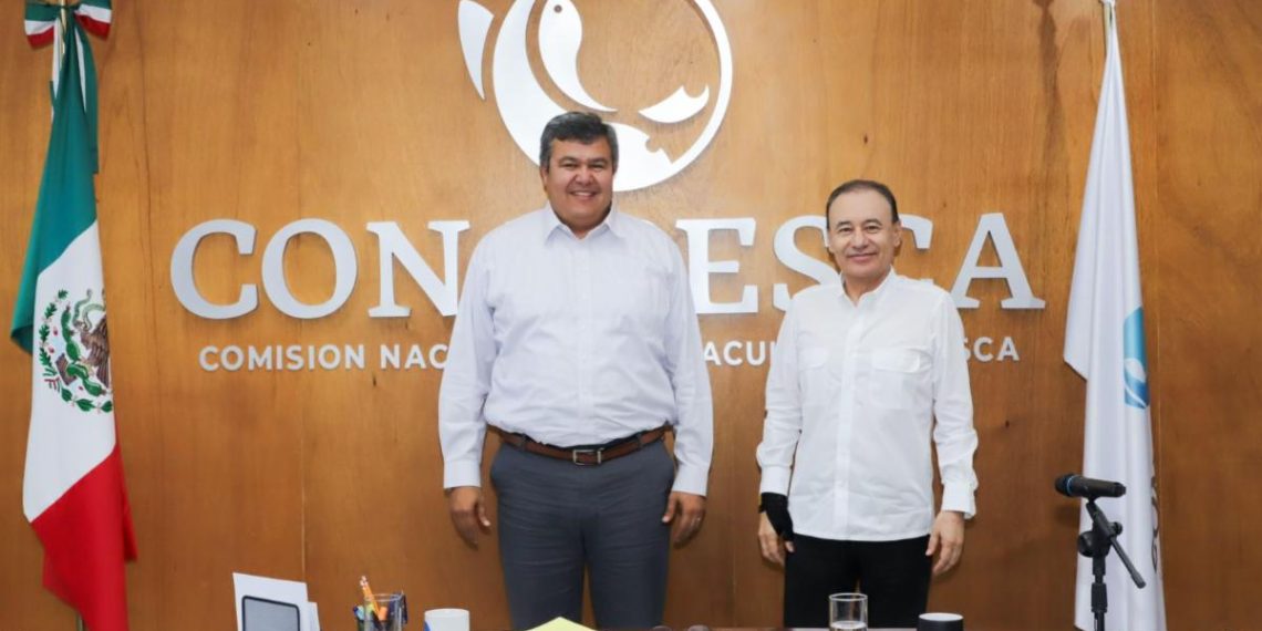 Sonora primer lugar en producción pesquera: Conapesca