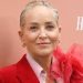 Sharon Stone perdió sus millones tras sufrir derrame cerebral