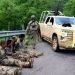 Caen 5 con uniformes y autos militares clonados en Yécora