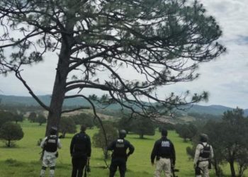 Desmantelan red clandestina de videovigilancia en Yécora