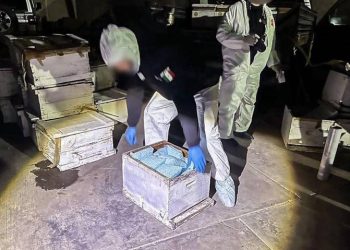 EU incauta 442 millones de dosis de fentanilo en la frontera con México en los últimos 5 meses