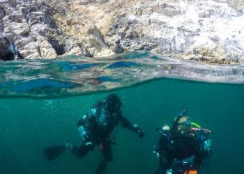 Buzos de todo el mundo visitan San Carlos para explorar los arrecifes artificiales
