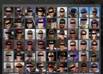 Operativos coordinados en Hermosillo dan resultados: SSP