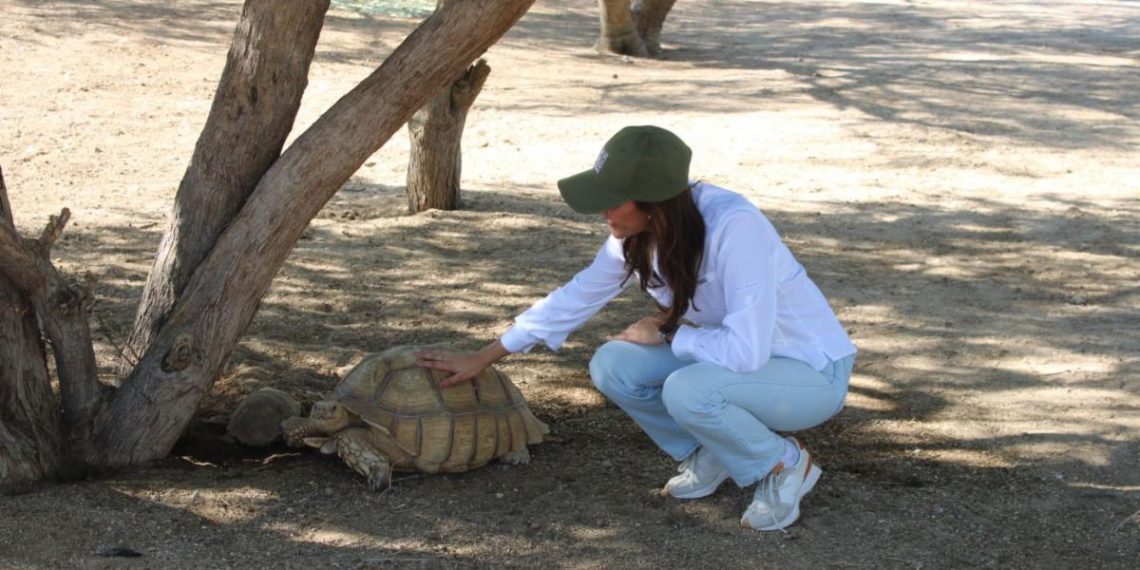 “La Jungla”: nueva área en el CES ofrece una interacción con animales