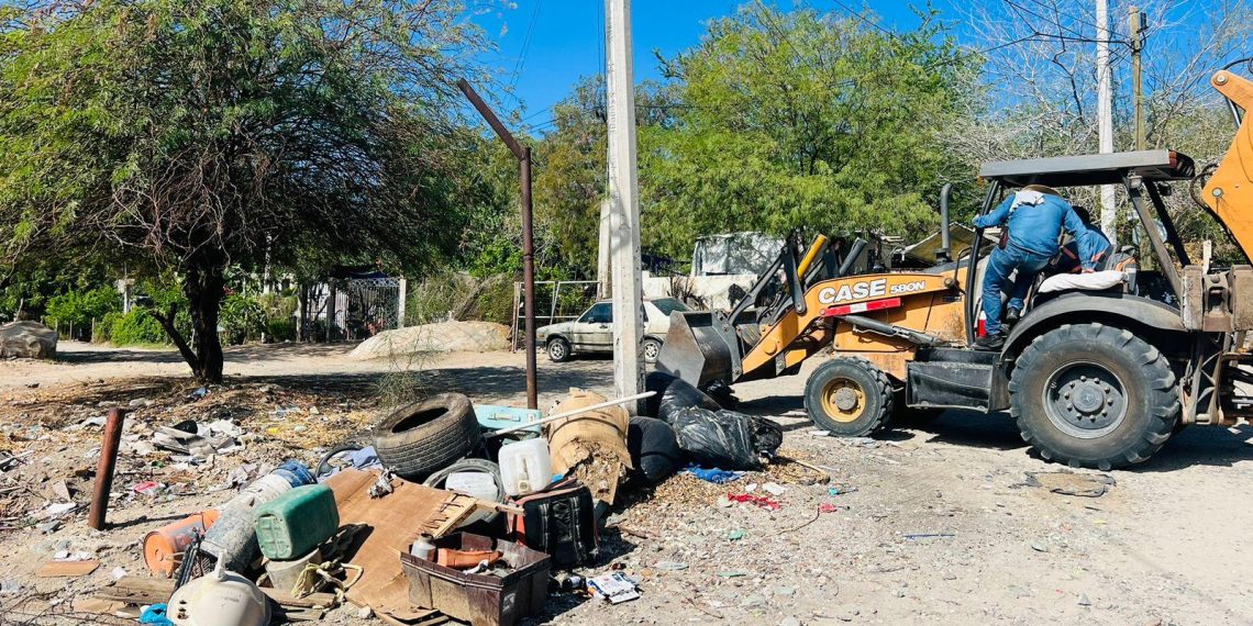Realizan jornada de descacharre en la colonia Café Combate