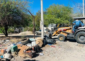 Realizan jornada de descacharre en la colonia Café Combate