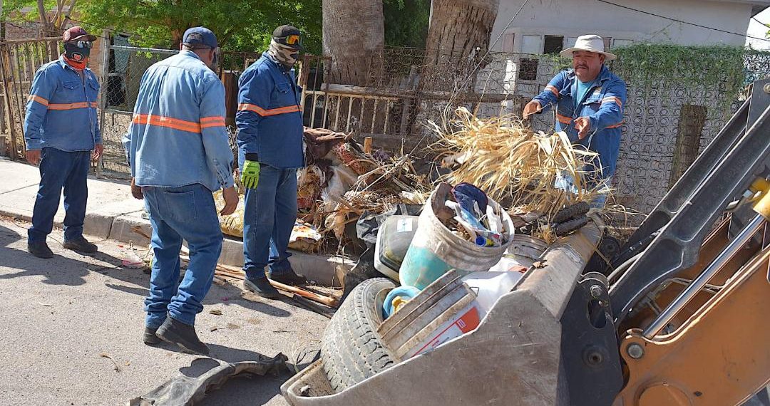 Realiza Ayuntamiento de Hermosillo intensas jornadas de descacharre