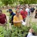 ¿Quieres un árbol nativo?acude al Vivero Municipal