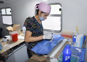 Invitan a aprovechar el servicio gratuito de esterilización de mascotas en Hermosillo