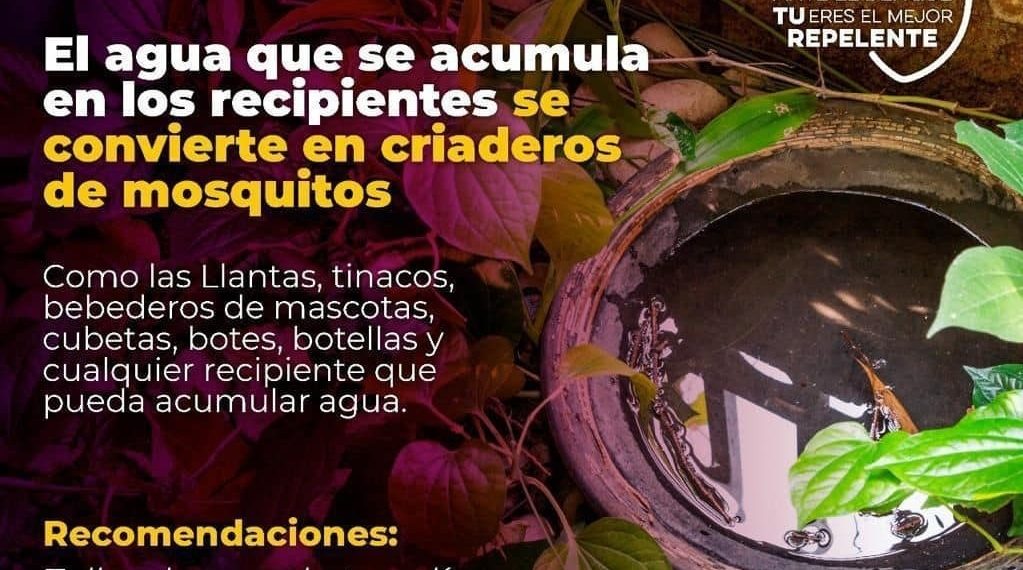 Llama Salud Sonora a mantener hogares limpios y prevenir el dengue