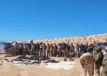 Detiene Semar en Sonora a traficantes de especies protegidas y drogas