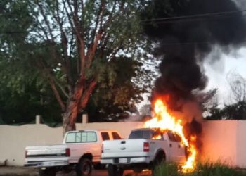 Denuncian 79 muertos y pérdidas millonarias por narcoviolencia en Sinaloa