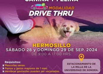 Acerca Salud Sonora vacunación antirrábica en diferentes modalidades