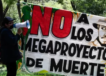 Hubo 18 asesinatos de personas defensoras del medio ambiente en México en 2023: ONG