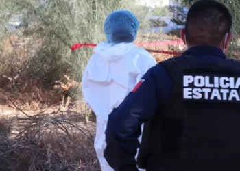 Hallan cinco cuerpos sin vida en diferentes puntos de Hermosillo en este fin de semana