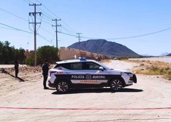 Investigan hallazgo de restos humanos al norte de Hermosillo