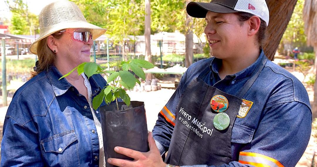 Donará Gobierno de Hermosillo árboles nativos