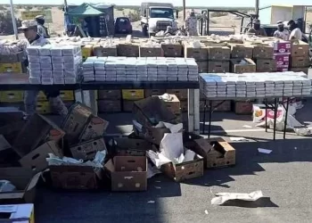 Descubren en San Luis Río Colorado más de 900 kilos de cocaína escondidos en cargamento de papayas