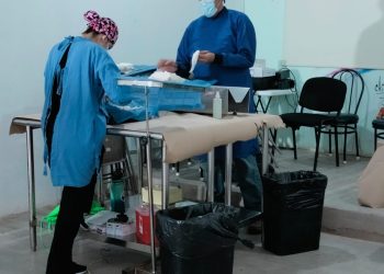 Atiende Bienestar Animal a más de 600 animales de compañía en septiembre